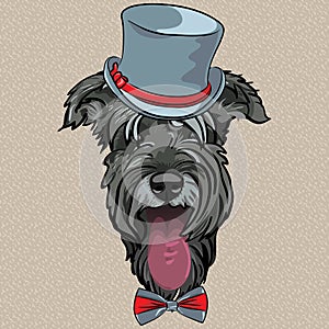 Vector funny cartoon hipster dog Schnauzer