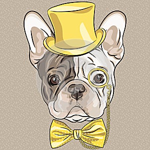 Vector funny cartoon hipster French Bulldog dog