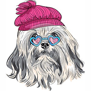 Vector funny cartoon hipster Lowchen dog