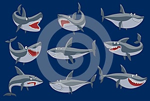 Vector funny cartoon shark fish swimming imal sea isolated shark character underwater cute marine wildlife mascot. Scary