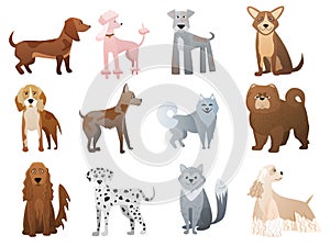 Vector Funny and cute cartoon dogs and puppy pet characters set.