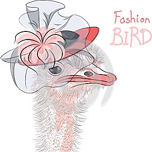 Vector funny fashion Ostrich Bird in a beautiful hat