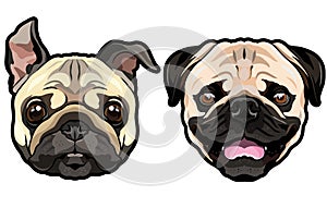 Vector funny happy doggy heads portrait of wrinkly pug puppies isolated