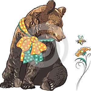 Vector funny hipster bear watching bee