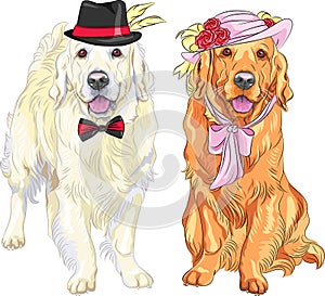 Vector funny pair of dogs labrador retriever wearing hats and ti