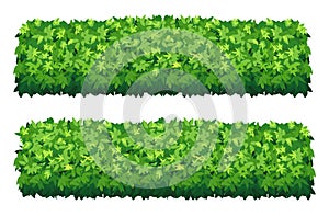 Vector garden bush isolated shrub hedge. Green bush cartoon grass shrubbery plant.