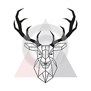 Vector geometric deer head. Stag head and antlers. photo
