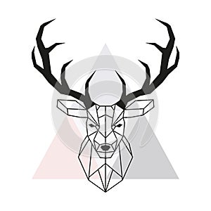 Vector geometric deer head. Stag head and antlers.