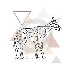 Vector geometric Okapi.