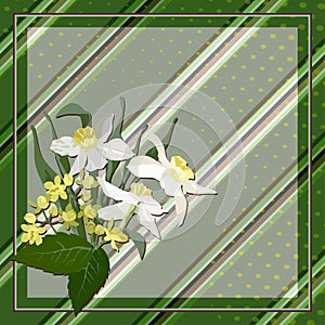 Vector geometric pattern, diagonal stripe with a of daffodils on a light green background, for fabric design, scarf, hijab