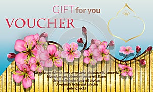 Vector gift voucher template with Sakura branch and flowers. Luxury Business floral card layout. Golden background. Concept for