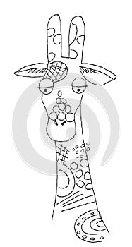 Vector Of A Giraffe Head On White Background, Wild Animals. Cute giraffe drawing. The design of postcards, booklets.
