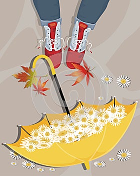 Vector of girl legs standing next to upside down umbrella with daisies inside, Woman wearing leather boots on footpath with