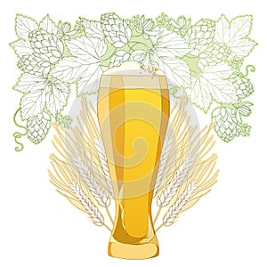 Vector glass of froth beer with ornate wreath of Hops and barley ears on white.