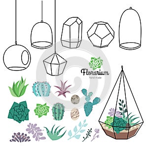 Vector glass terrariums with beautiful succulents set