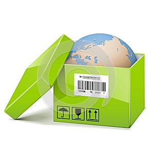 Vector Globe in Green Box
