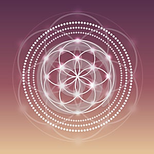 Vector Glowing Flower of Life Symbol Illustration on a Gradient Background