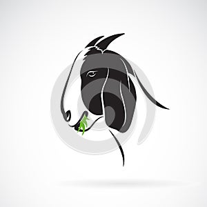 Vector of goat head that is eating grass on white background. Animals. Easy editable layered vector illustration