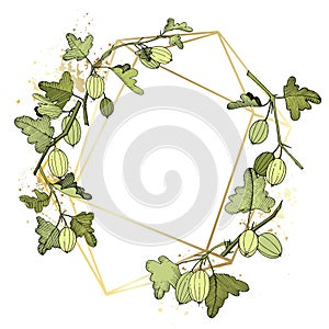 Vector Gooseberry branch. Green leaf. Plant botanical garden floral foliage. Frame golden crystal. Engraved ink art.