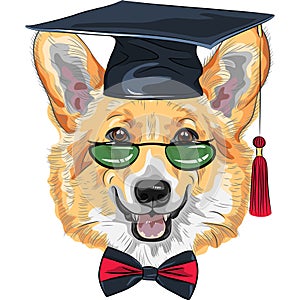 vector graduated dog Pembroke Welsh corgi