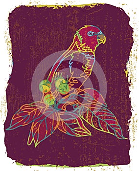 Vector grange colorful background with parrot drawing