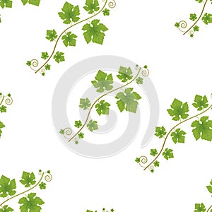 Vector grapevine seamless pattern on a white background.