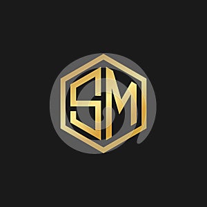 Vector Graphic Initials Letter SM Logo Design Template photo