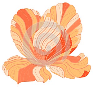 Vector graphic flower of lines