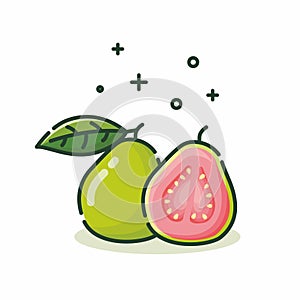 vector graphic of guava photo