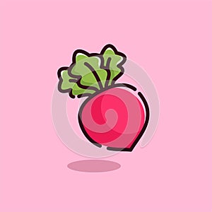 Vector graphic of Radish