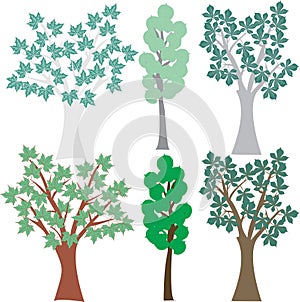 Vector graphic set deciduous trees. Clip Art