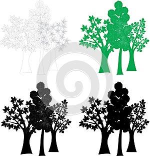 Vector graphic set deciduous trees. Clip Art