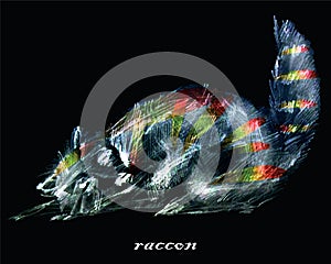 Vector graphic stylized image of raccon photo