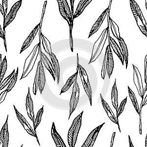 Vector graphics of branches. Highlighted on a white background. Seamless pattern with olive branches graphics. Graphic
