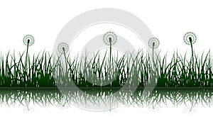 Vector grass and dandelions