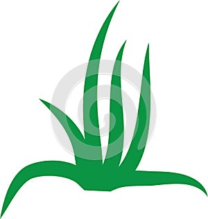 vector grass icon in white background.