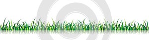 Vector Grass Illustration