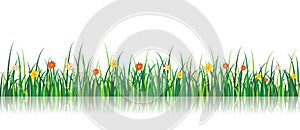 Vector Grass Illustration With flowers