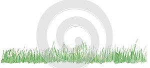 Vector grass illustration