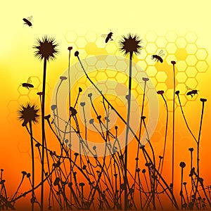 Vector grass silhouettes backgrounds and bees