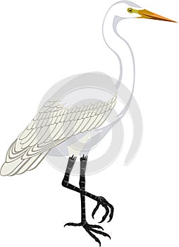 Vector Great white heron