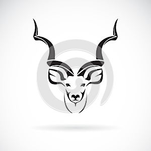 Vector of greater kudu head design on white background,animal.