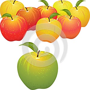 Vector Green apple vs set of red and yellow apples