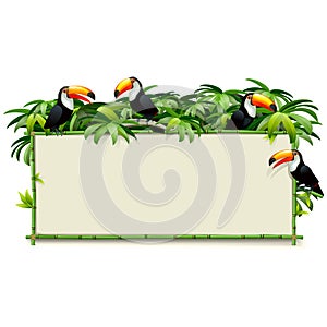 Vector Green Bamboo Board with Toucans