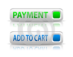 Vector green and blue payment button