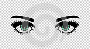 Vector green female eyes with long lashes and make up. Beautiful girls
