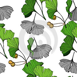 Vector Green ginkgo leaf. Engraved ink art. Seamless background pattern. Fabric wallpaper print texture.