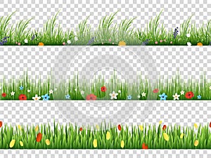 Vector green grass and spring flowers nature border patterns on transparent background