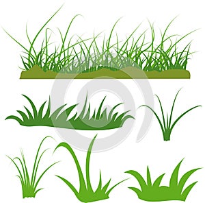 vector grass isolated on white background, vector grass set component
