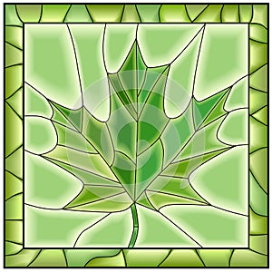 Vector green illustration of maple leaf from tree.